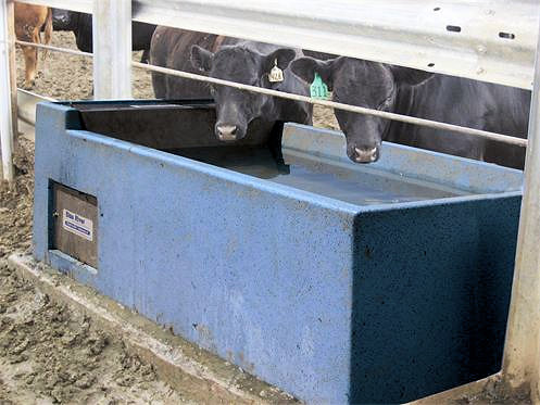 photo of livestock waterer